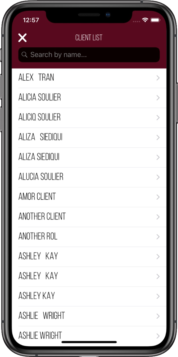 SalonScale Contact List