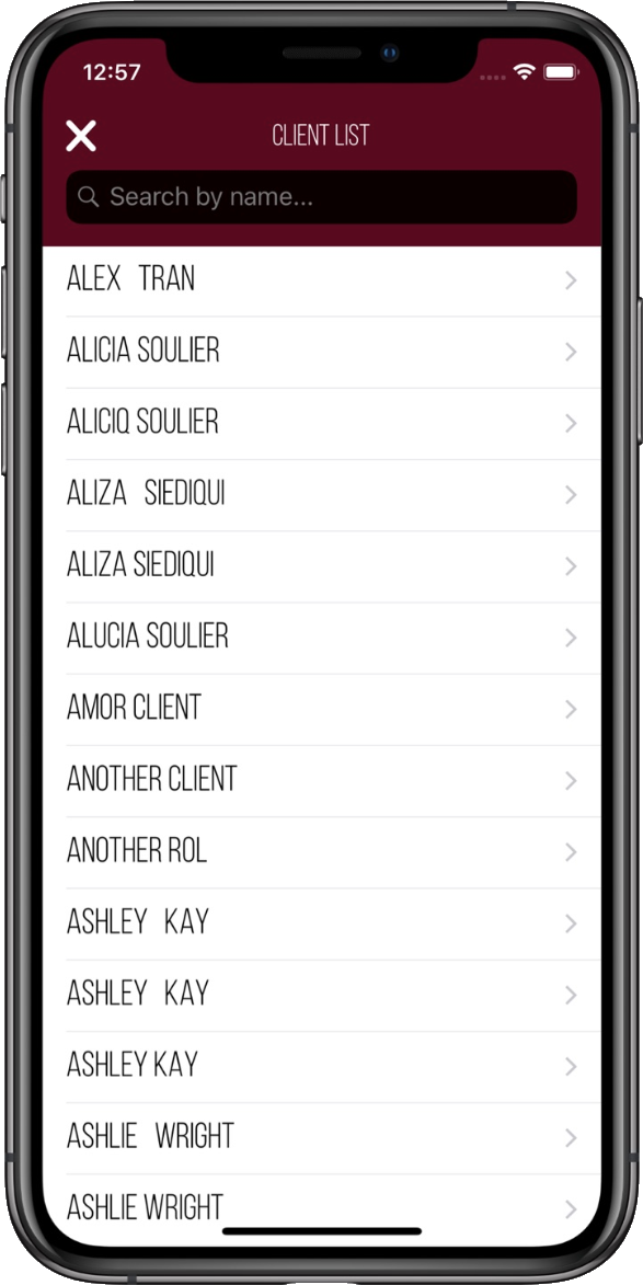 SalonScale on the App Store