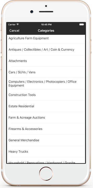 Listing of auction categories